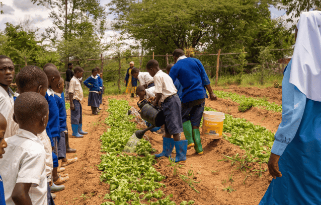IBO Italia, regione di Iringa – Tanzania