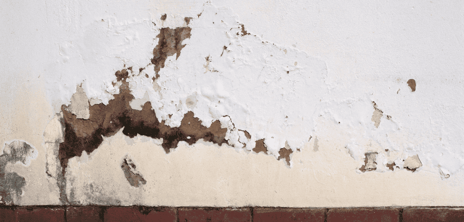 Segni da umidità di risalita