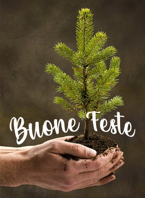 Silla Buone feste 2023