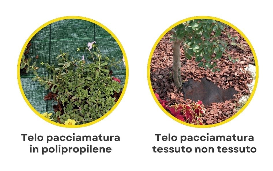 SILLA Telo pacciamatura