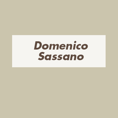 Domenico Sassano Impresa Edile Ravenna
